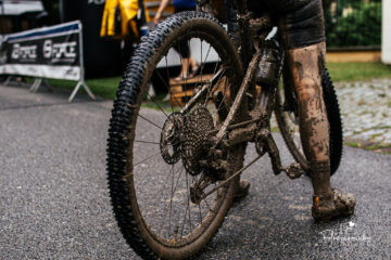 web_34a8187bw